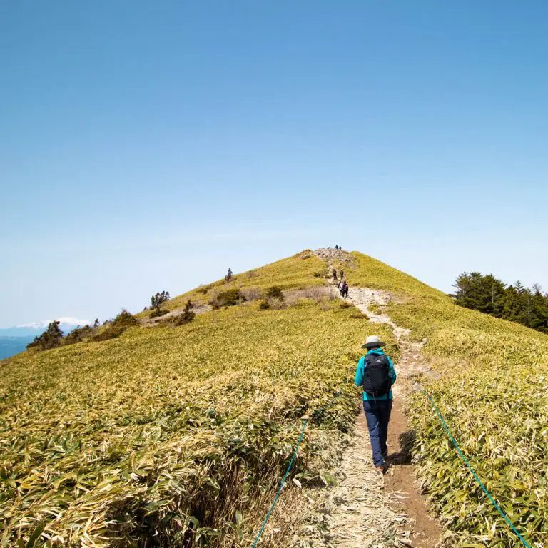 山を登る人物