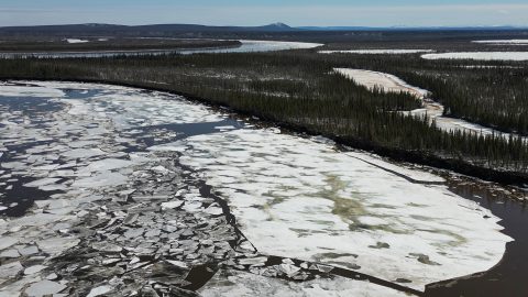 カナダの北極圏の春を訪ねて見つけた新職業…その名は「ログアングラー」！