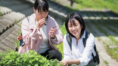 身近な草花の”知らなかった”が見えてくる！ ご近所植物観察のアイデア11