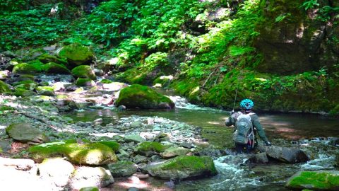 ウェットウェーディングって知ってる？夏の渓流釣りにおすすめの装備を紹介