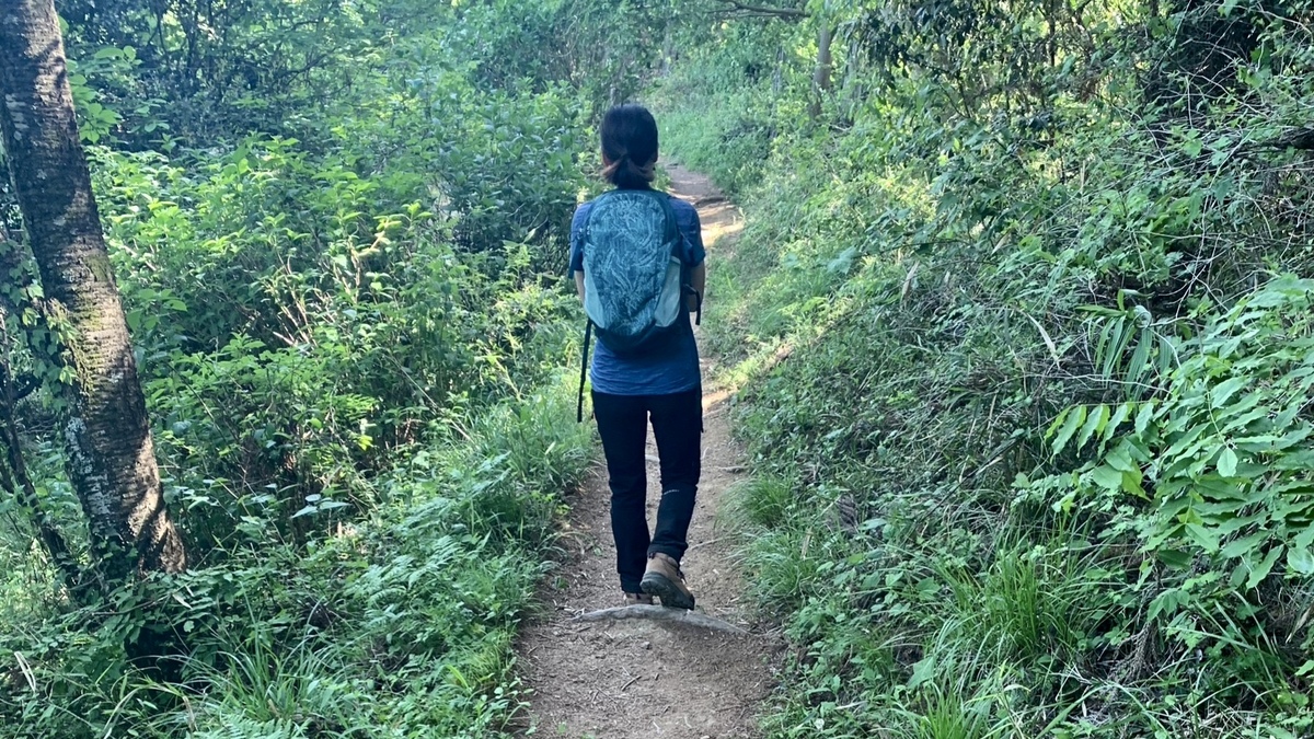 整備された登山道を女性が歩いている。