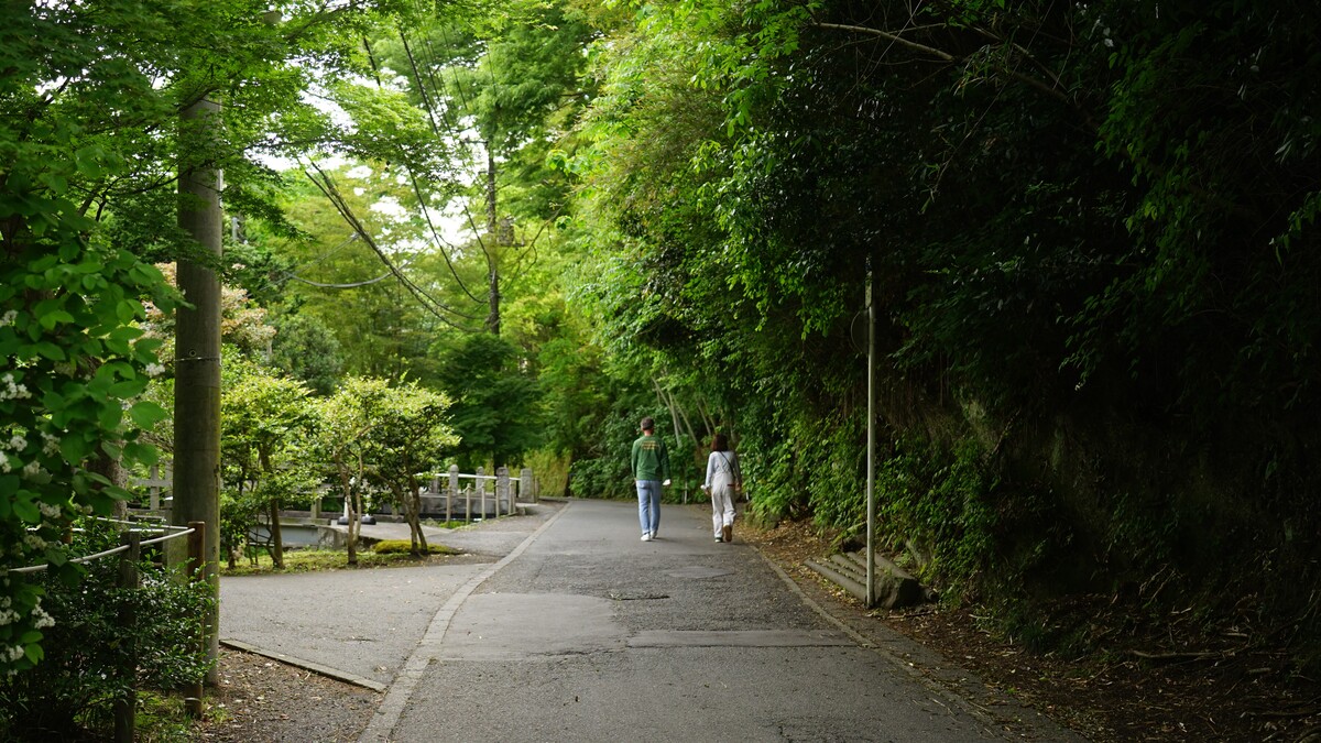 明月院通り。