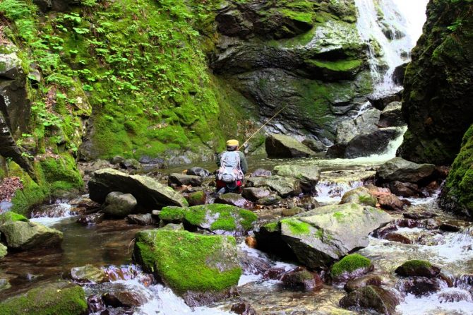 テンカラのイメージカット