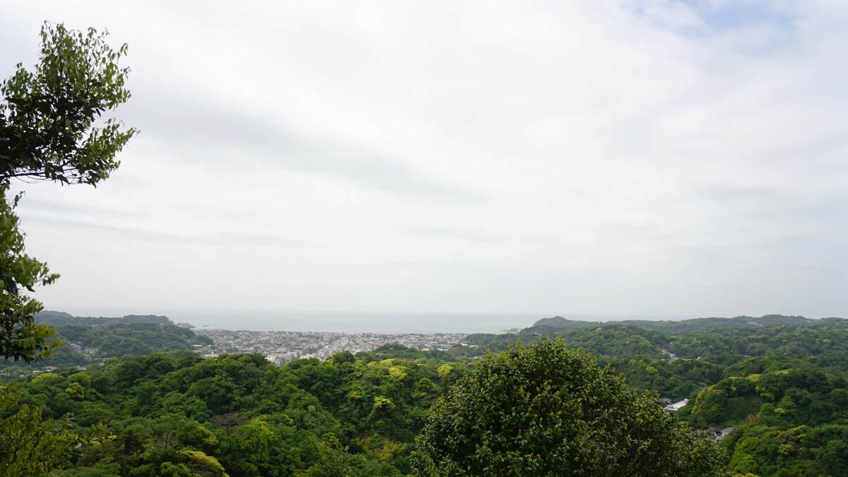 勝上献展望台からの景色。