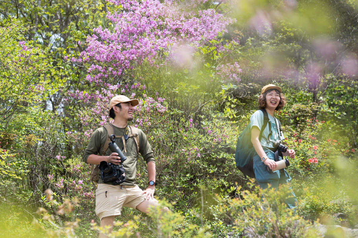 ツツジの花を背景に山道で談笑する男女