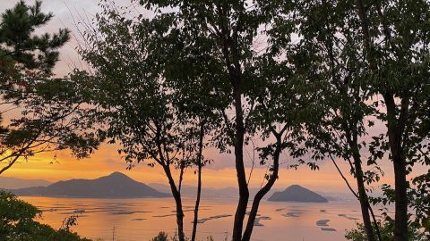 夏キャンプを心地良く過ごすための虫・野生動物対策【キャンプ場個人オーナーの快適キャンプ術 vol.4】