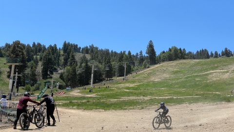 漕がなくていい!? 夏場のスキー場の「下り」をマウンテンバイクで乗ってみたら…