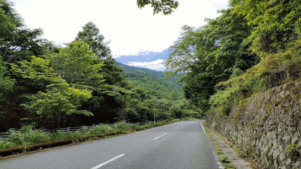 ヤビツ峠へ続く道