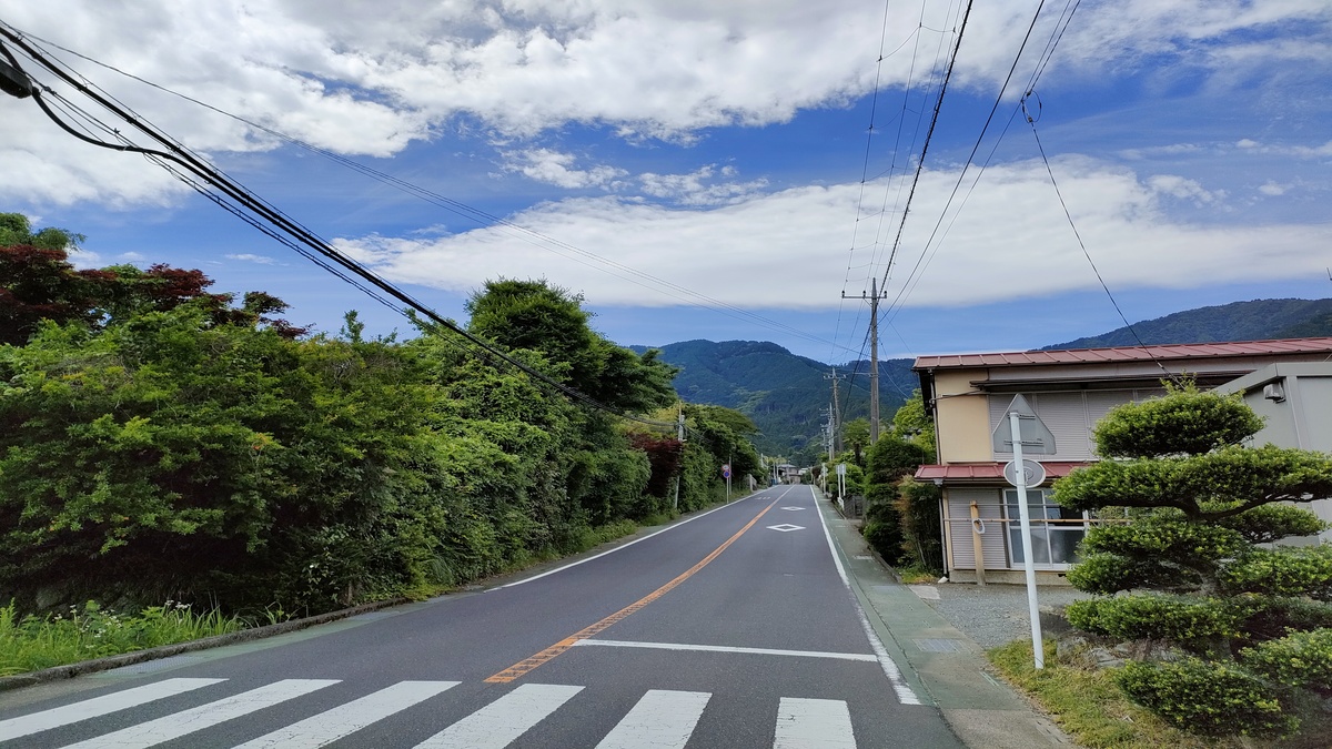 蓑毛が近づく