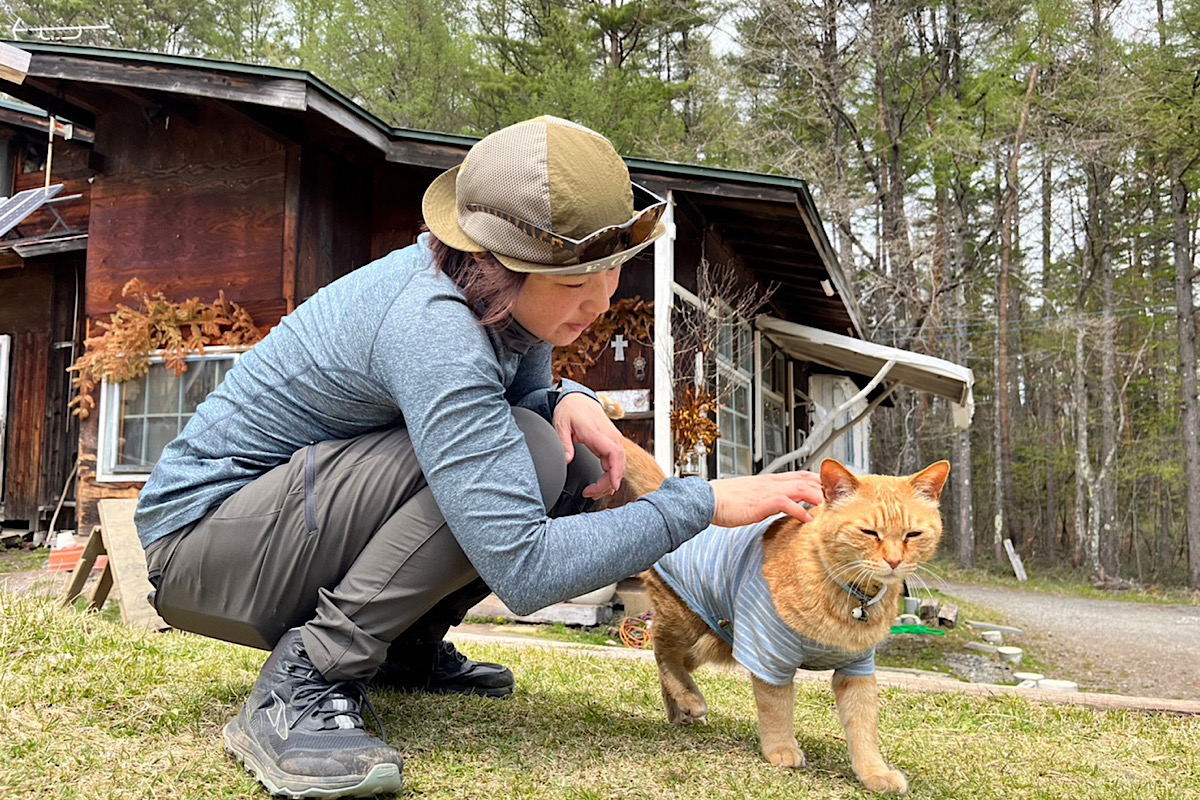 猫のノンちゃん