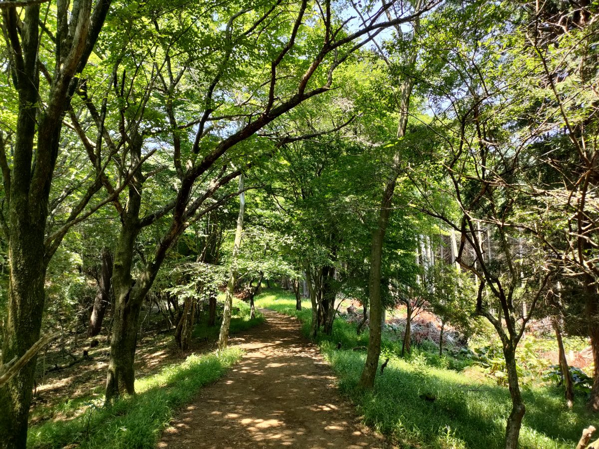 登山道