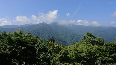 雲取山は日帰り可能？4つのコースやおすすめの周辺スポットを紹介