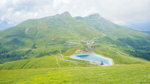 登山大国スイスへ！高山植物が咲き乱れる「地上の楽園」で夏のハイキングを満喫
