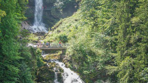 滝の裏側まで散策！スイスのサスティナブルな公園「ネイチャーパーク・ギースバッハ」ハイキング