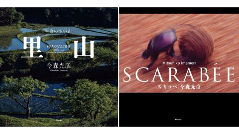 この夏は写真家・今森光彦氏に大注目！里山の決定版&フンコロガシを徹底取材した写真集が刊行
