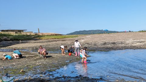 砂浜に巨大シジミがザクザクっ！アメリカ西海岸で潮干狩り体験