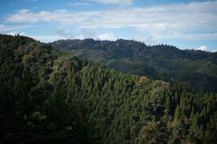 山の山頂から見た景色