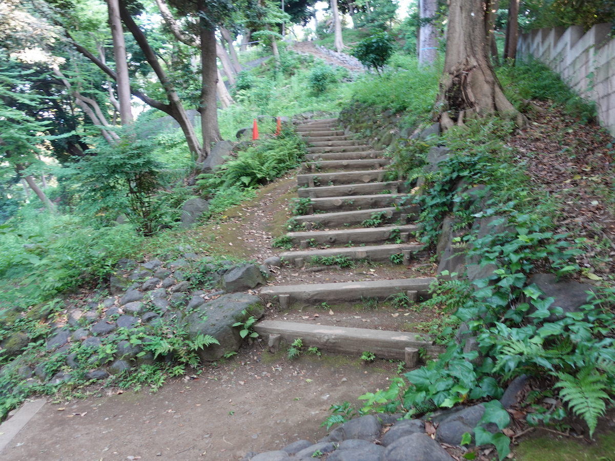 期待が高まる急登の始まり。