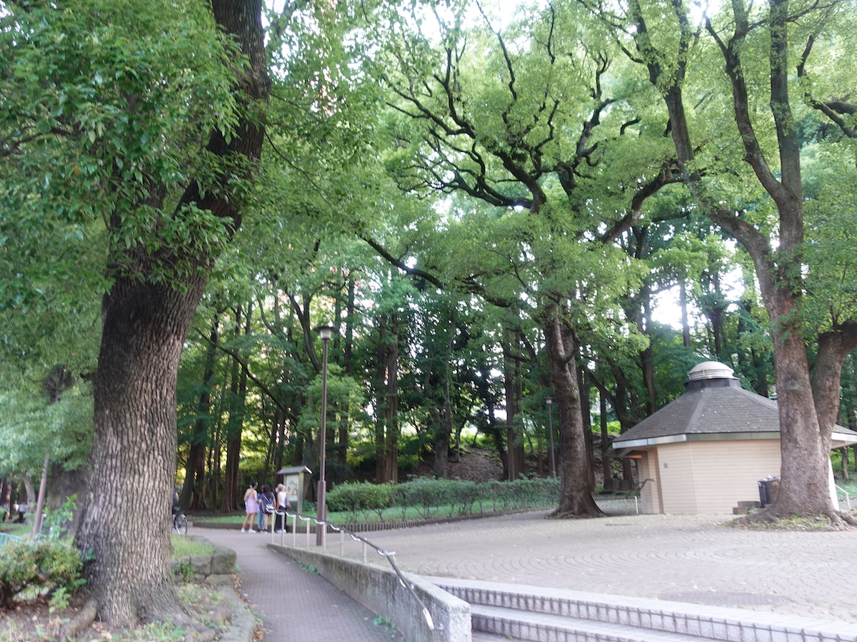 近辺は公園が多いのでトイレと水場（水道）は確保できます。