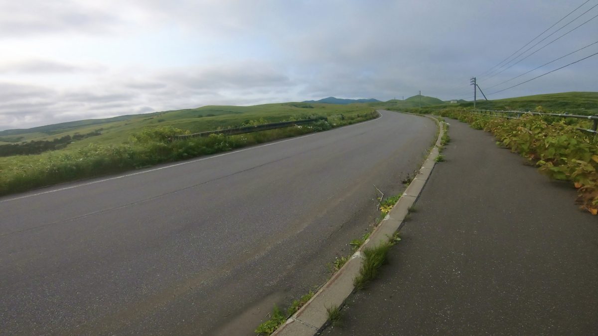 道路の横に草原が広がっている。