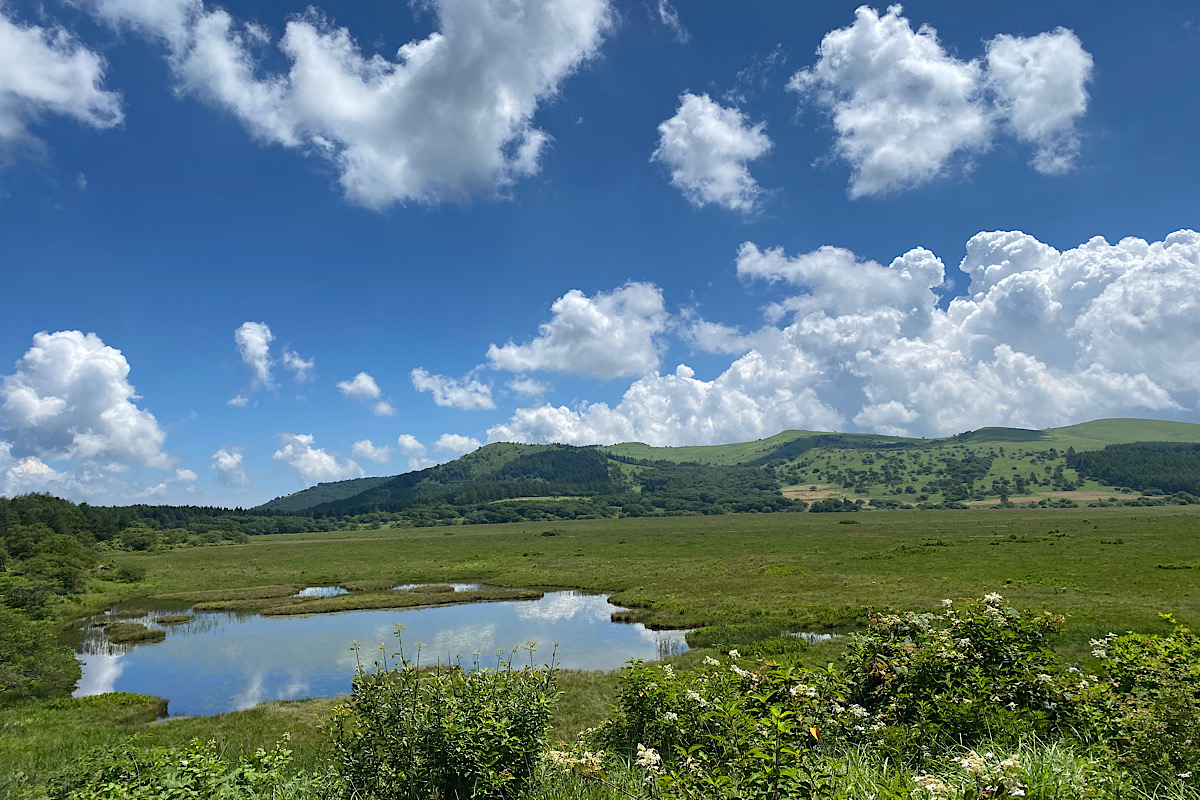 八島湿原