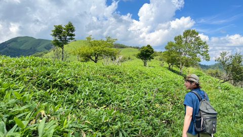 水の流れに思いを馳せる長野県の極上トレイル「霧ヶ峰・美ヶ原中央分水嶺」を歩くと…