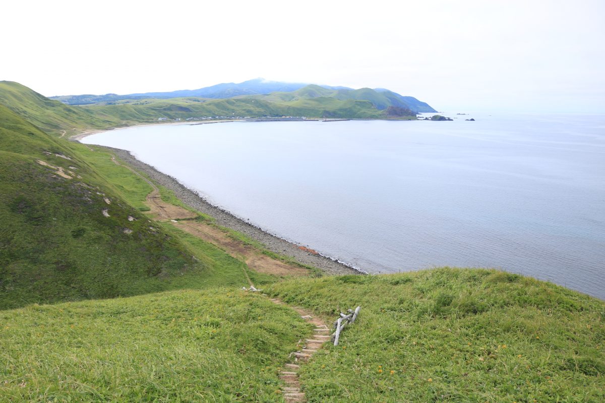 海沿いに道が続いている。