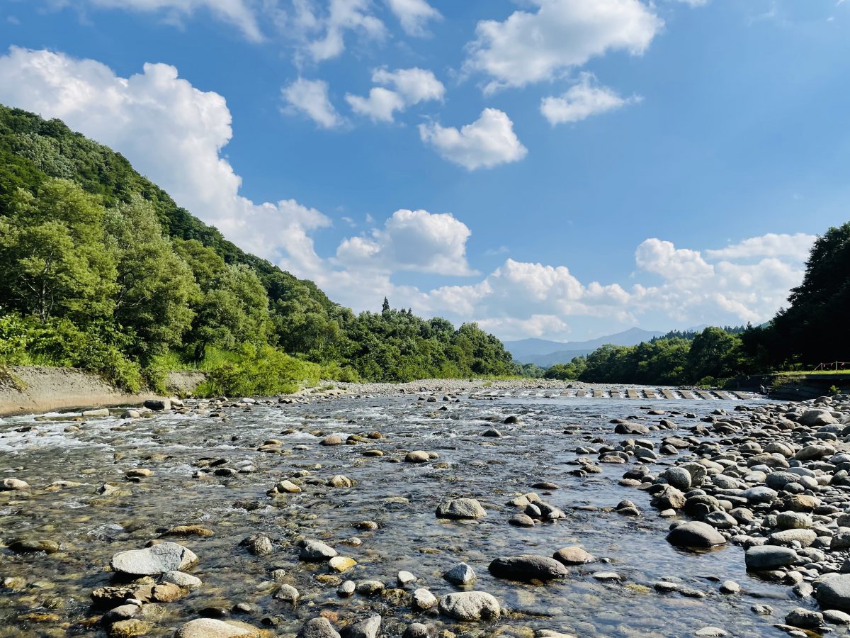 川の景色