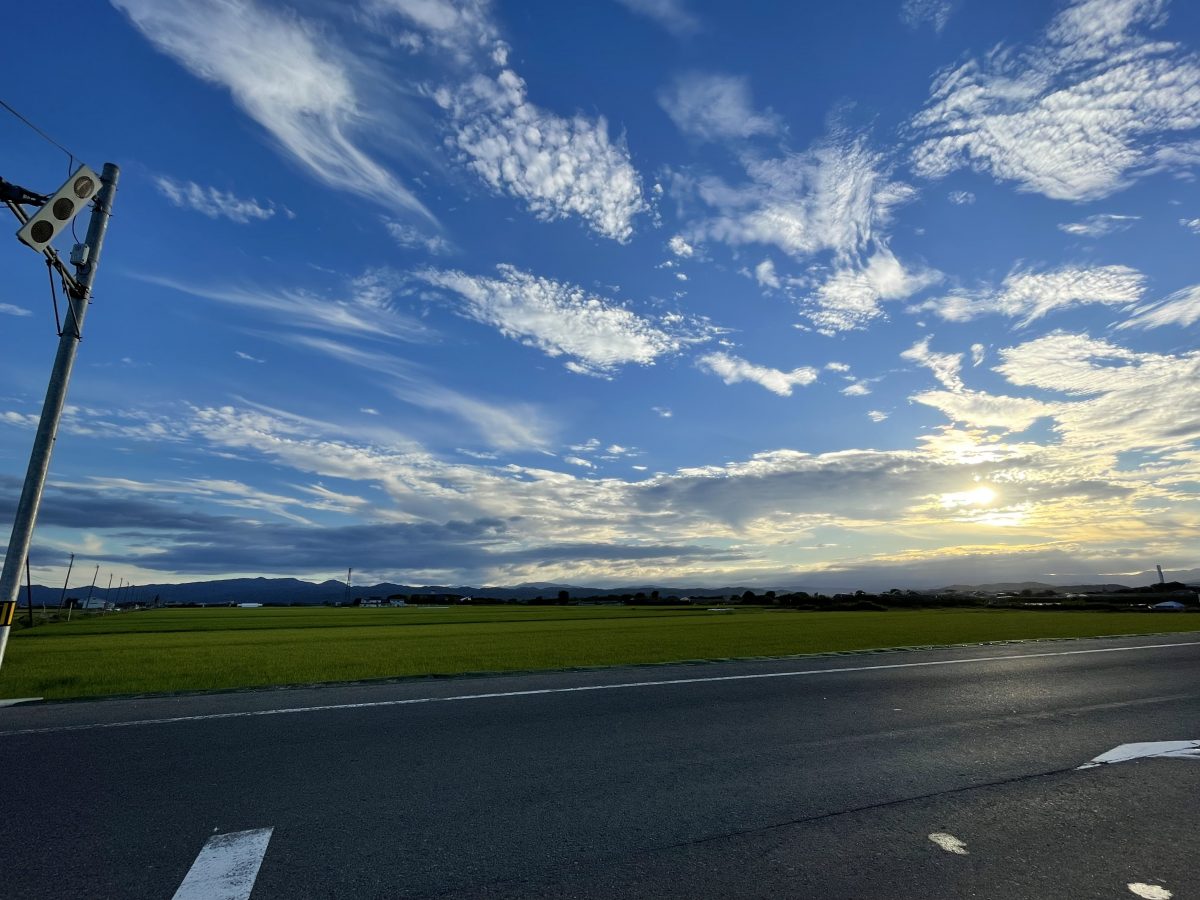 夏の景色