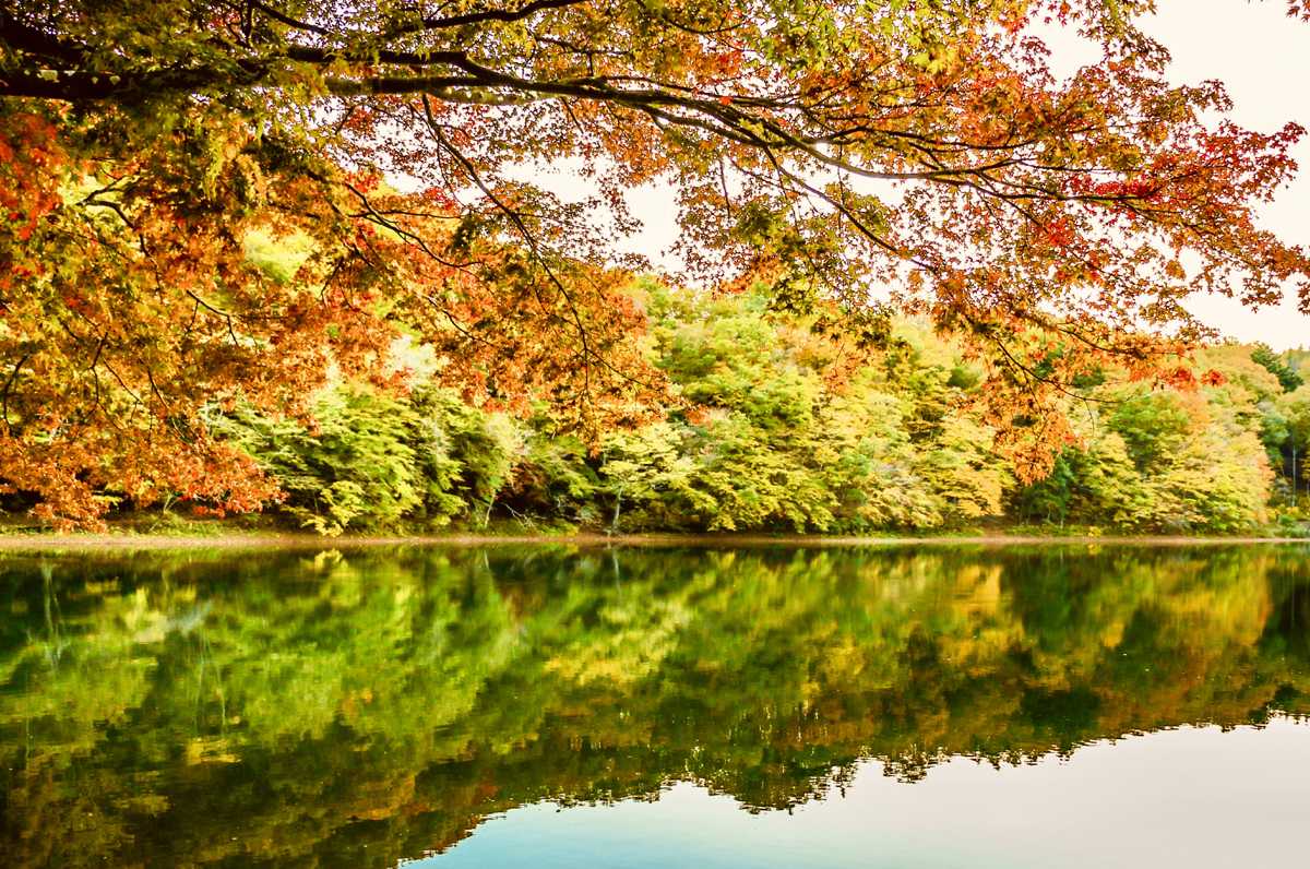 紅葉と四尾連湖