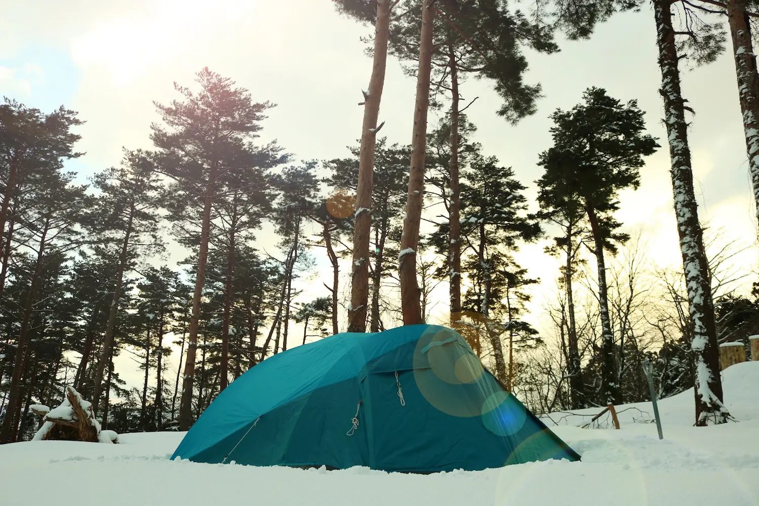 雪の積もった森に設営した青いテント