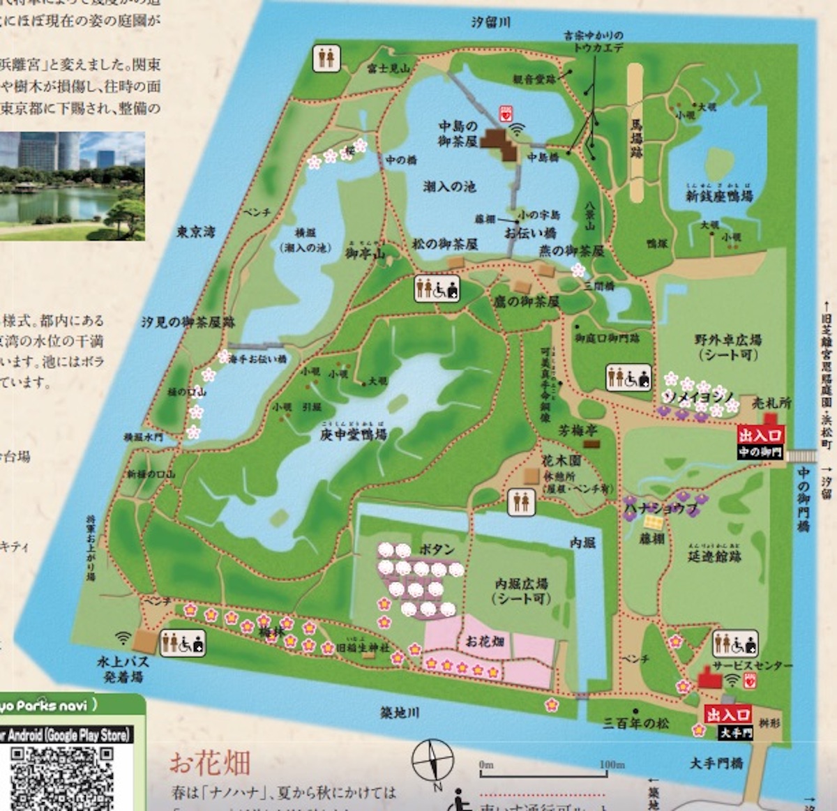 園内にある案内図。