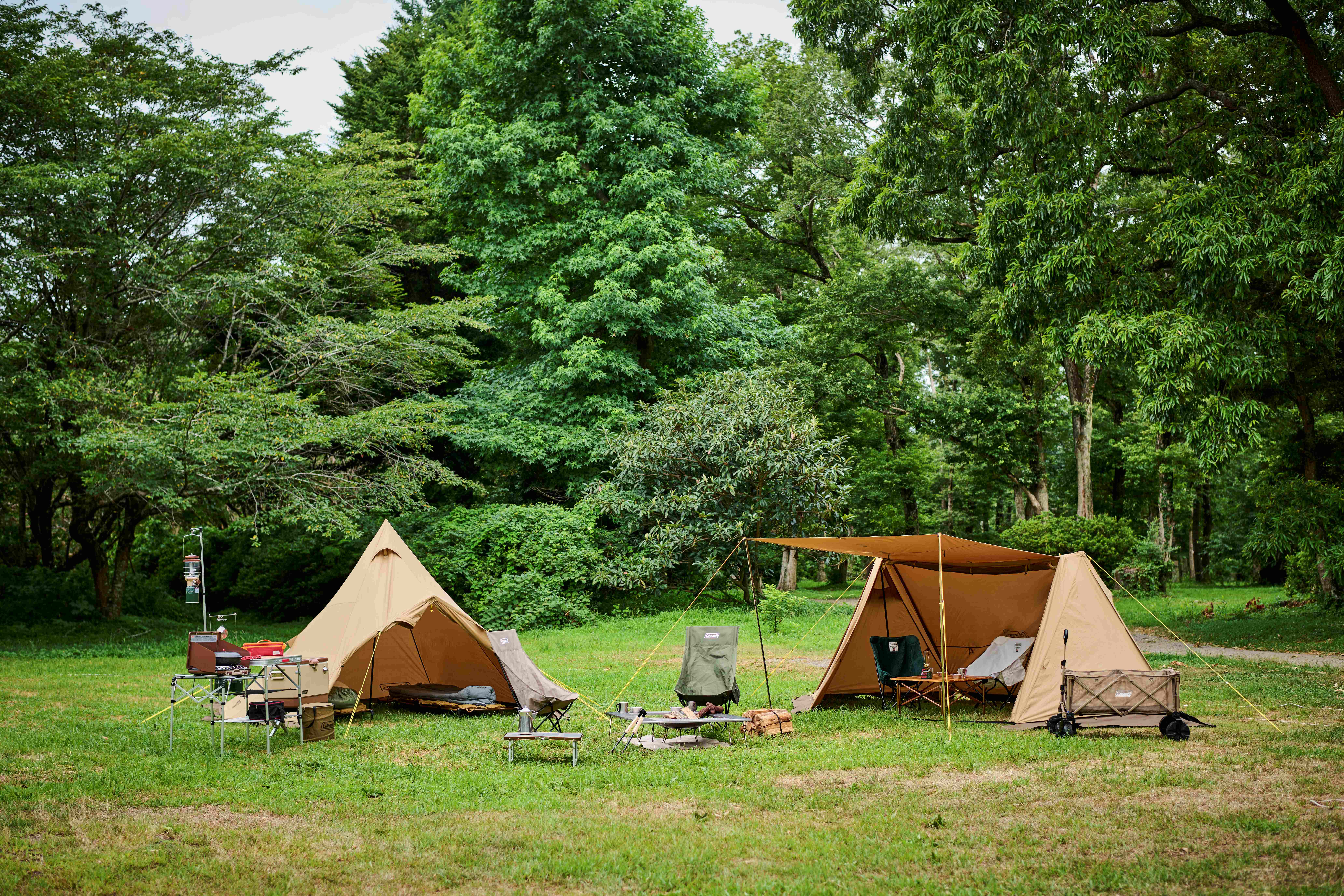 コットンキャンバス ティピー テント S'more 撥水加工ポリコットン ティピーテント/ 3〜4名用