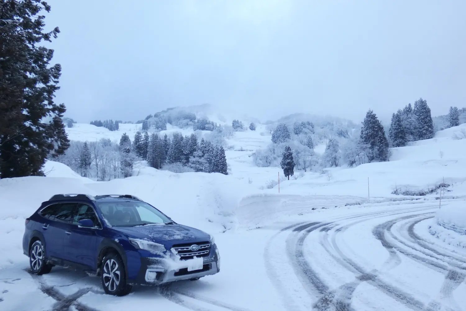 雪が降る道路脇に止まっている車