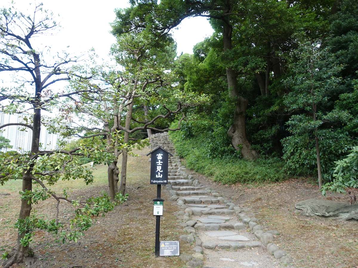 富士見山。