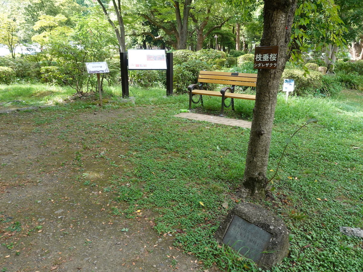 つつじ山の山頂付近。