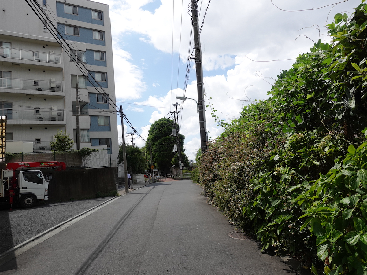 奥に公園らしき緑が…！