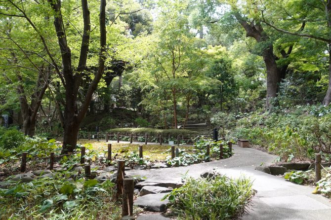 歴史の変遷を見守ってきた徳川家ゆかりの山とは？【プロハイカー斉藤正史のTOKYO山頂ガイド File.11】