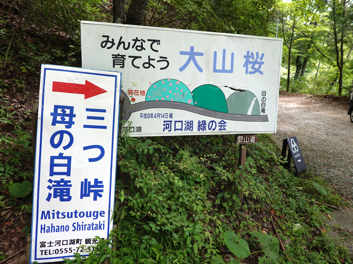 母の白滝の看板