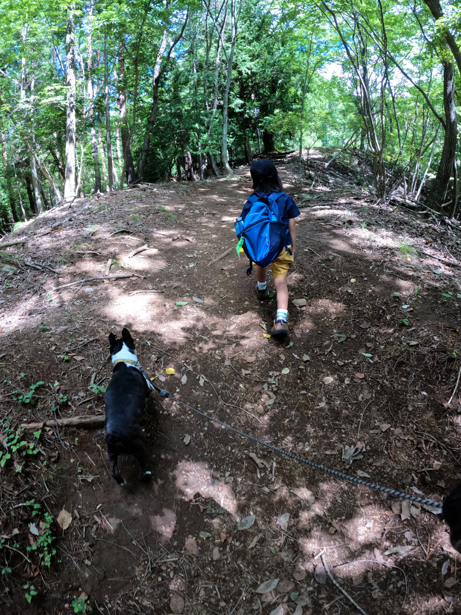 夏のトレッキングする息子と犬