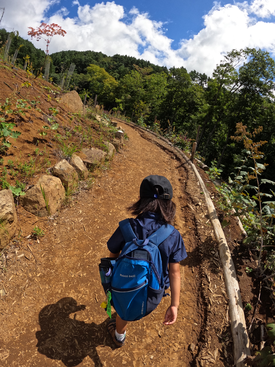 山道の日なたを歩く