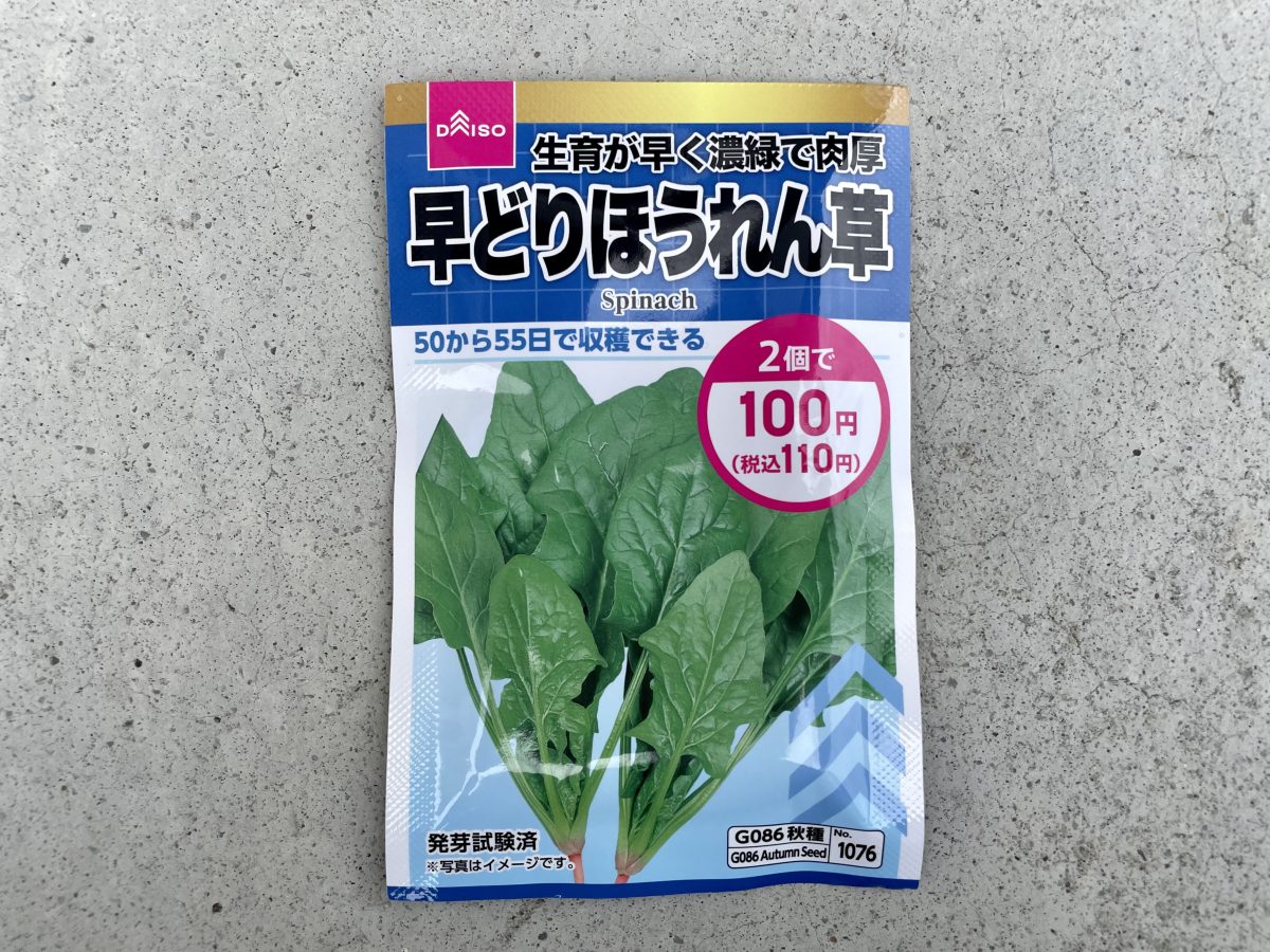 ほうれん草のタネ