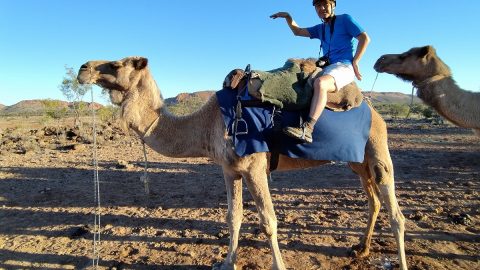 オーストラリアの砂漠で「乗馬」ならぬ「乗ラクダ」に挑戦したら意外な学びがあった