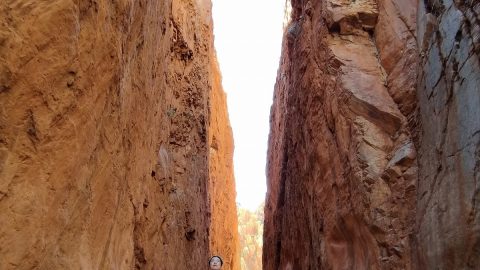 谷底から見上げる絶景！オーストラリアの「大地の割れ目」を歩いてみたら…