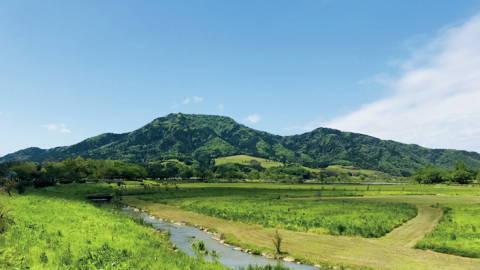 自然観察もしながら頂上を目指せる！ のんびり派におすすめの低山６選