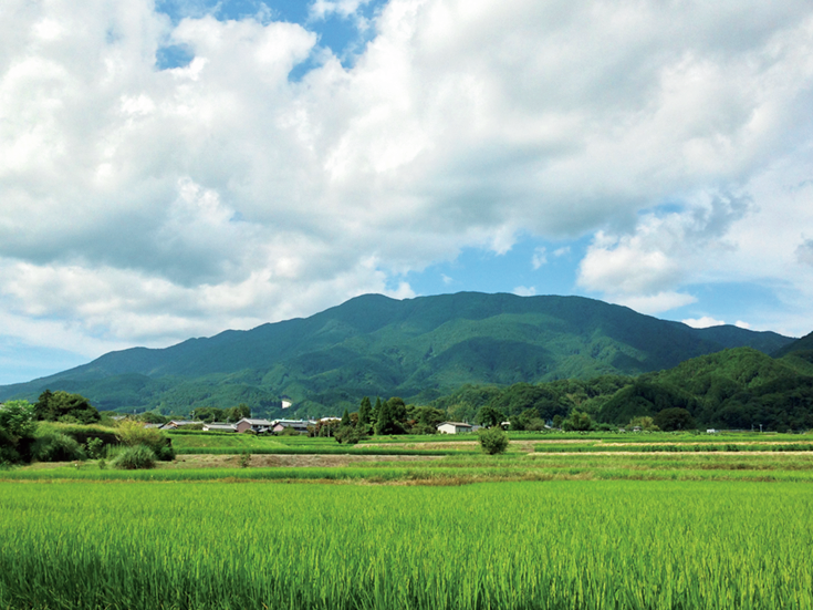 金剛山