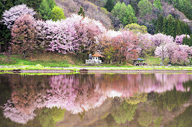 春の山