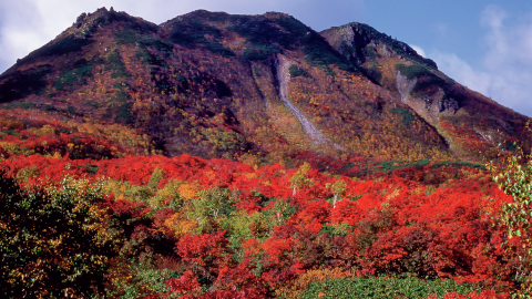 絶景、歴史あり、植物観察も…BE-PAL厳選！一度は登りたい 全国おすすめ低山リスト