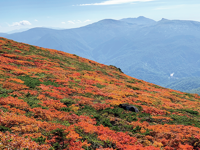 岩手県八幡平市、雫石町　三ッ石山