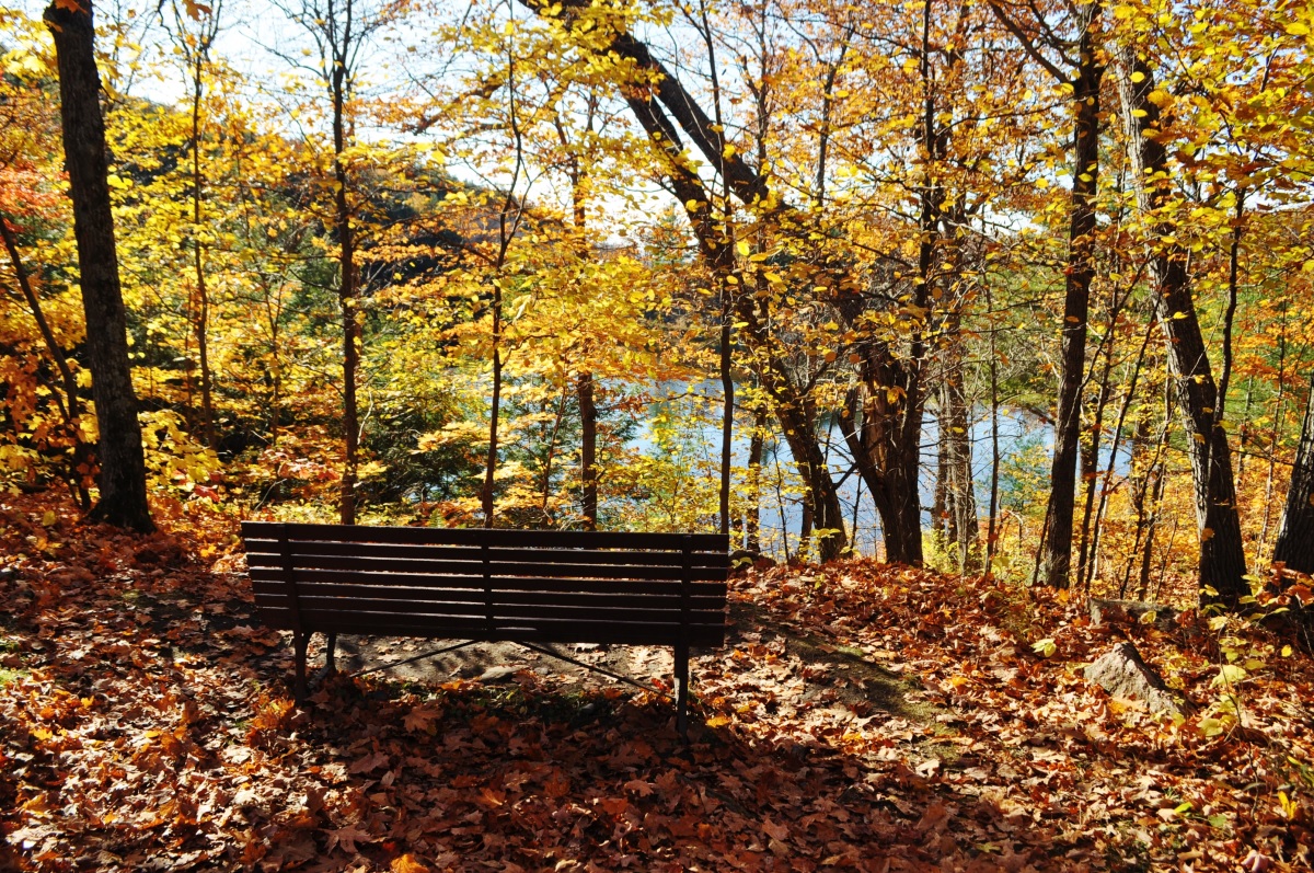 多くのベンチが設置されていて素敵な景色を楽しみながら休憩できる。
